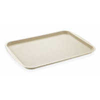 Поднос сервировочный ABS 270x360 мм, GT-2736, GastroPlast